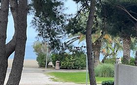Grand F3 vue mer centre plage proche commerces